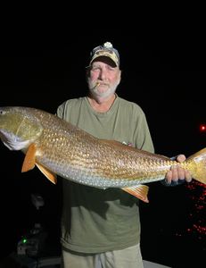 Angler with fishing rod in Milton