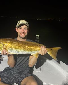 Successful angler holds a fish caught while fishing in Florida
