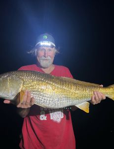Fishing adventure in Florida