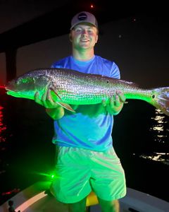 Angler with a 31-inch fish in Milton