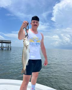 Spotted weakfish caught during fishing trip in Milton