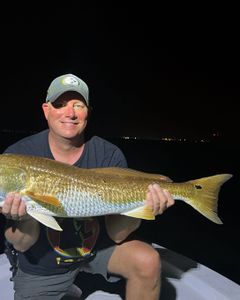 Fisherman holding a 26-inch fish in Florida
