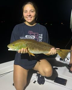 Redfish measuring 23 inches caught while fishing in FL