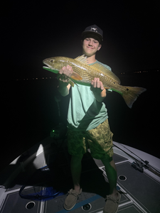Huge redfish hooked in Milton's clear waters!