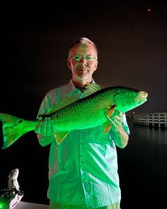 Redfish caught in FL