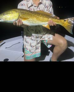 Redfish caught while fishing in FL