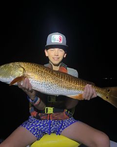 Angler holding a large redfish in Florida