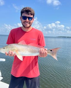 Redfish caught by angler in Milton
