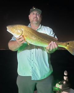 Redfish caught by angler in Milton