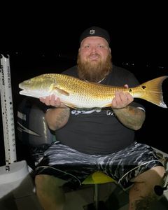 Redfish caught in Milton, Florida