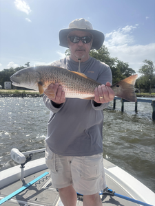 Caught a tasty redfish while jigging, fly fishing, and using heavy tackle on a partly cloudy day with afternoon rain.