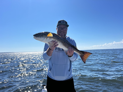 Reeled in a beauty during today's adventure!