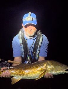 Lone angler fishing in FL