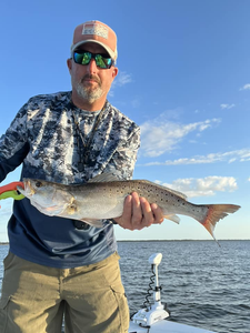 Spotted Weakfish caught while fishing in FL