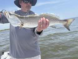 Reeled in a spotted weakfish today during an afternoon of varied fishing techniques at 281, Garcon Point Road.