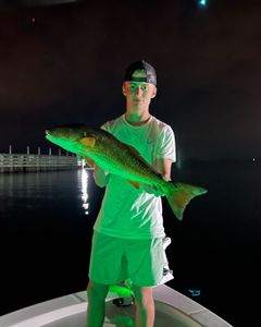 Lone angler fishing in Florida