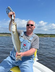 Angler catches a fish in Milton, fishing