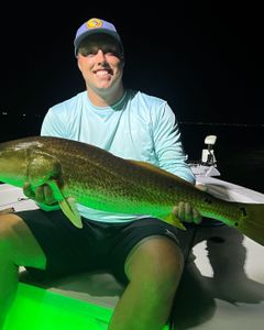 One angler fishing in FL