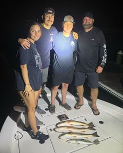 3 fishing poles with a scenic FL landscape