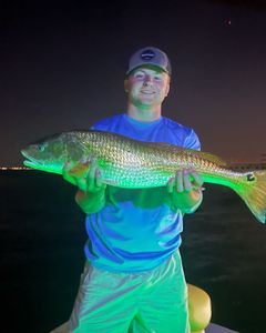 Angler holding a 29-inch fish in Florida