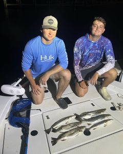 Three fish caught in FL while fishing