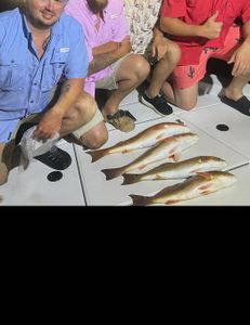 Two redfish caught in FL