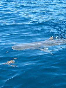 Exciting fishing tour in Florida