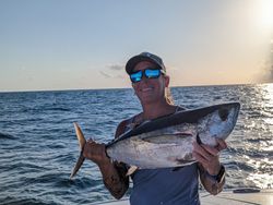 Blackfin tuna, 18 inches, fished in FL