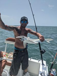 Bonnethead shark fishing tour in Cudjoe Key