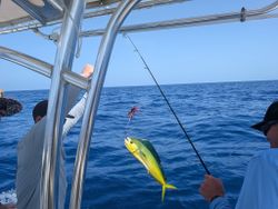 A picturesque view of Cudjoe Key, Florida, a popular fishing destination for anglers.