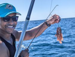 Lone angler fishing in Florida