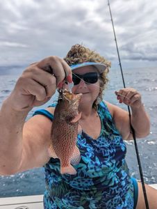 Lesser spotted dogfish, 12-inch fish, fishing tour in Cudjoe Key