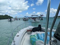 Angler enjoying a day of fishing tours in FL