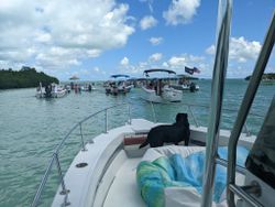 Cudjoe Key Fishing Charters!