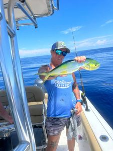 Mahi Mahi hooked in Cubjoe Key