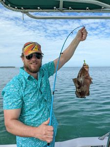 Red Grouper fish caught in Cudjoe Key during fishing tour