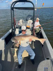 Chasing Redfish in Venice Louisiana