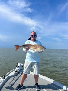 Angler catching a big black drum fish in Venice