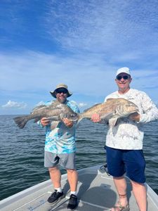 Two black drum fish caught in LA