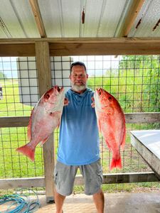 Two big fish caught in Venice