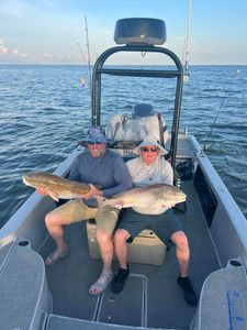 Two redfish, 24 inches long, caught by two people in LA