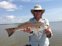 Redfish caught in LA