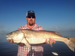 Redfish caught in LA