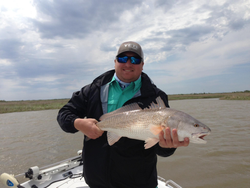 Redfish caught in LA