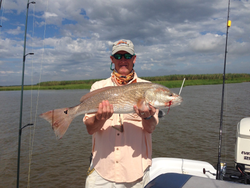 Redfish caught by angler in LA