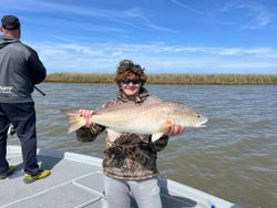 Redfish, 26-inch catch in Venice