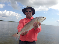 Redfish caught by fisherman in Venice