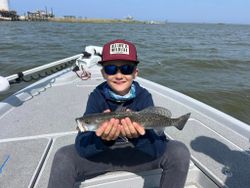 Caught a spotted weakfish, 16 inches, in Venice