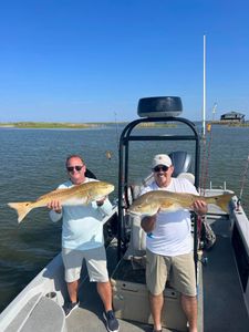 Two redfish, 28 inches long, caught while fishing in Venice
