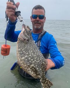 It's Summer Flounder season! Come to Rockport!